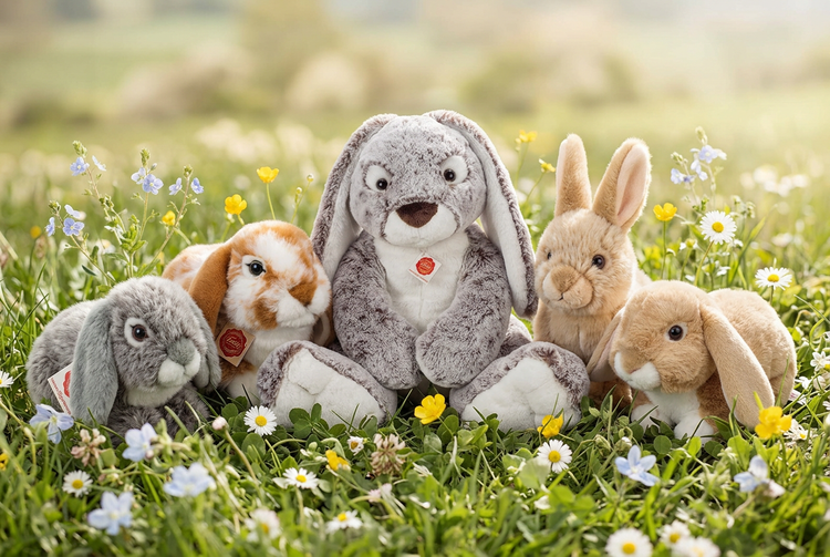 Gruppenmotiv Hasen: Widderkaninchen und Hasen auf Frühlingswiese