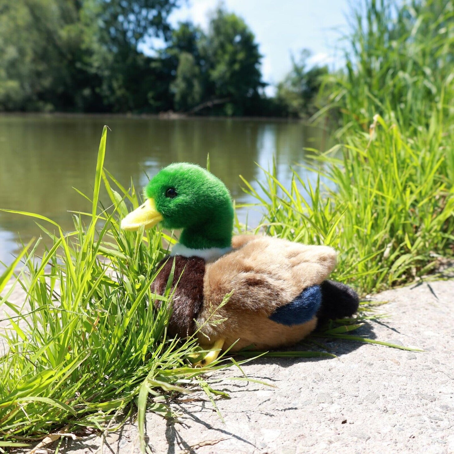 Ente sitzend 20 cm Wildente Kuscheltier Plüschtier Stofftier Nachhaltig