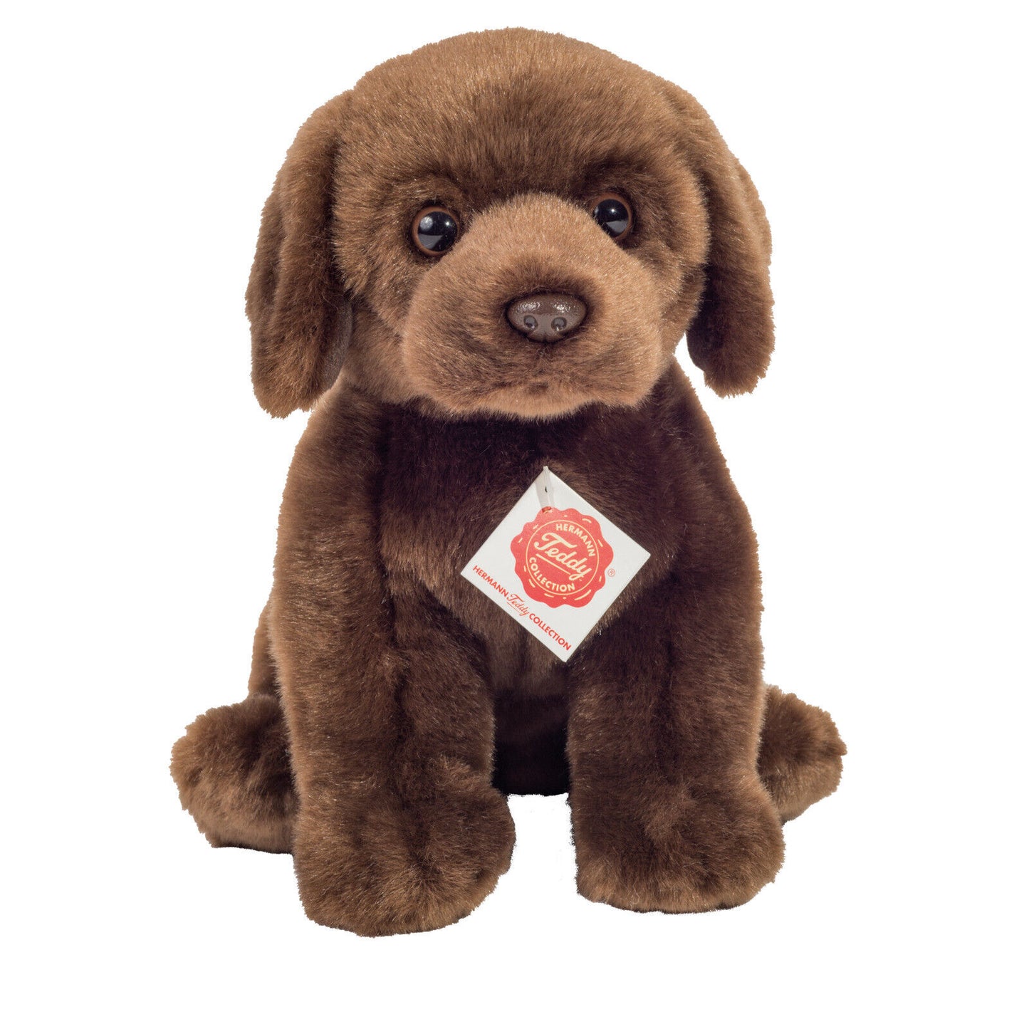 Teddy Herman Labrador sitzend dunkelbraun 91958